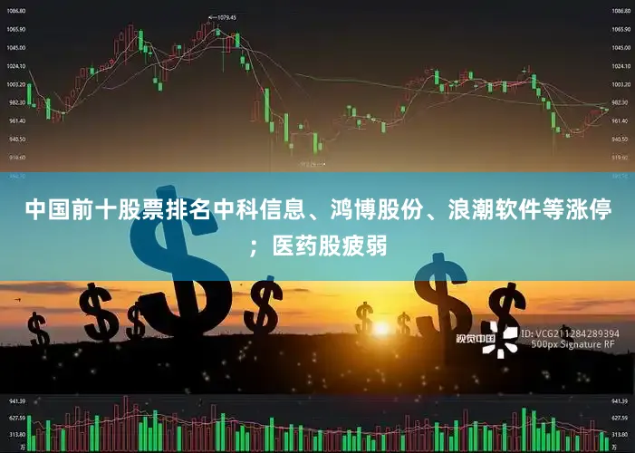 中国前十股票排名中科信息、鸿博股份、浪潮软件等涨停；医药股疲弱