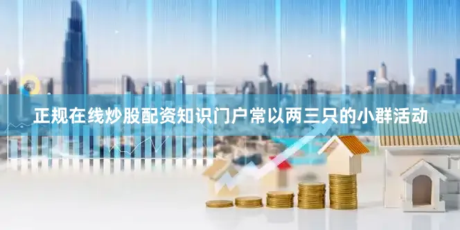 正规在线炒股配资知识门户常以两三只的小群活动