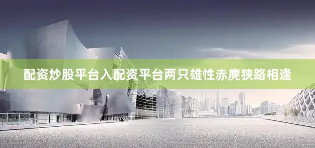 配资炒股平台入配资平台两只雄性赤麂狭路相逢
