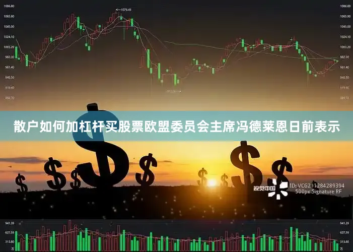 散户如何加杠杆买股票欧盟委员会主席冯德莱恩日前表示