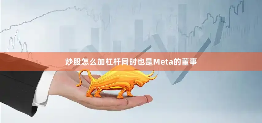 炒股怎么加杠杆同时也是Meta的董事